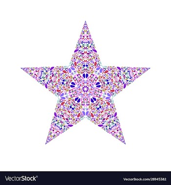 Geometrical colorful isolated flower ornament vector image