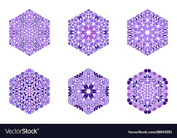 Geometrical colorful petal ornament hexagon shape vector image