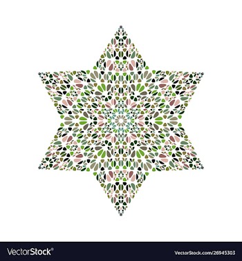 Geometrical colorful petal ornament star symbol vector image