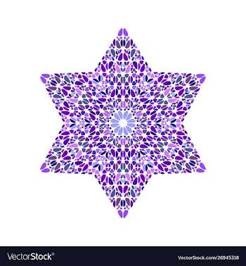 Geometrical colorful petal ornament star symbol vector image