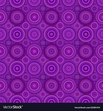 Geometrical concentric circle pattern vector image
