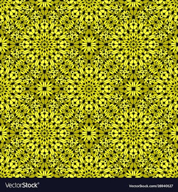 Geometrical floral kaleidoscope ornament pattern vector image