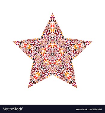 Geometrical floral ornament star polygon vector image