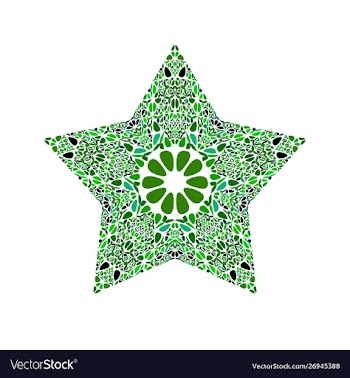 Geometrical floral star symbol - colorful design vector image