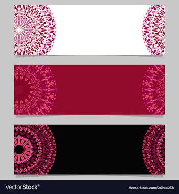Geometrical horizontal abstract floral mandala vector image