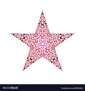 Geometrical isolated abstract floral mosaic star vector image