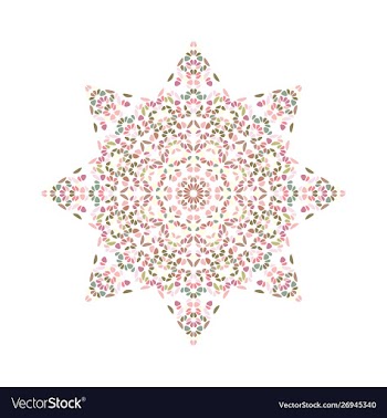 Geometrical isolated abstract floral star logo vector image