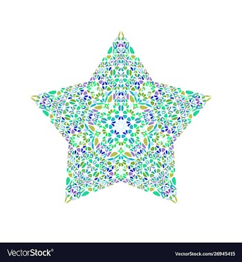 Geometrical isolated abstract floral star logo vector image