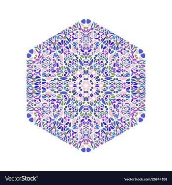 Geometrical isolated colorful floral ornament vector image