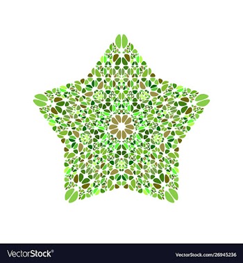 Geometrical isolated colorful stone ornament star vector image