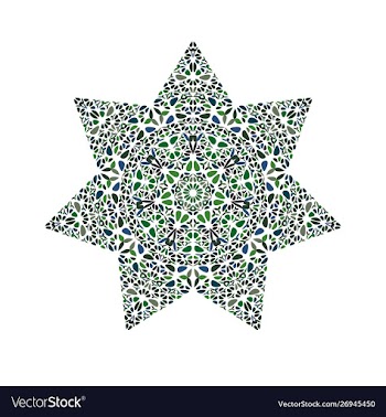 Geometrical isolated floral star symbol vector image