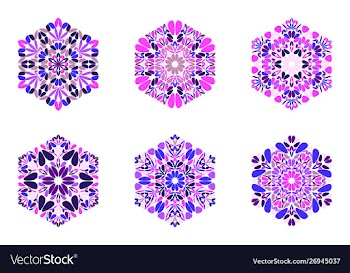 Geometrical ornate colorful floral hexagon vector image