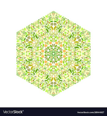 Geometrical ornate colorful floral mosaic hexagon vector image