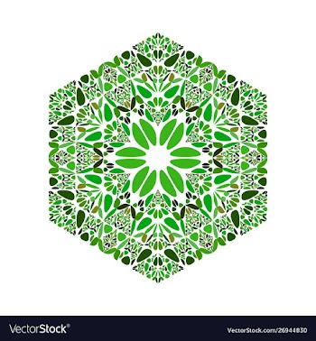 Geometrical ornate floral mosaic ornament hexagon vector image