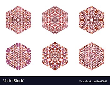 Geometrical ornate flower ornament hexagon symbol vector image