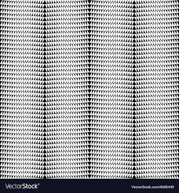 Geometrical pattern black and white color vector image
