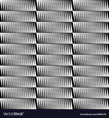 Geometrical pattern black and white color vector image