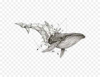 Geometry Drawing Sketchy Stories: The Sketchbook Art of Kerby Rosanes Geometric shape - whale 