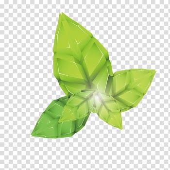Geometry Euclidean Leaf, Leaves transparent background PNG clipart