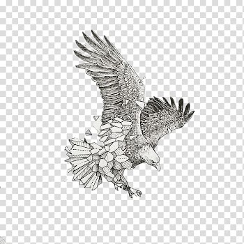 Geometry Sketchy Stories: The Sketchbook Art of Kerby Rosanes Drawing Animal Illustrator, Geometrical Drawings transparent background PNG clipart