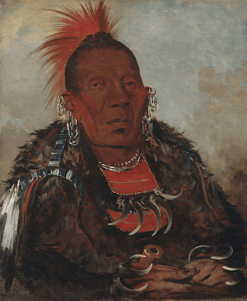 George Catlin - Wah-ro-née-sah, The | Free Photo - rawpixel