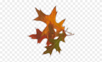 Georgia Autumn Leaves Electric Bill - Maple Leaf