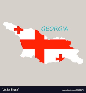 Georgia map with flag vector image