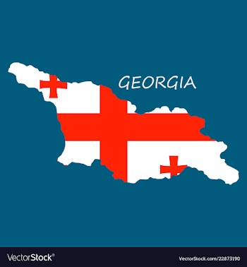 Georgia map with flag vector image