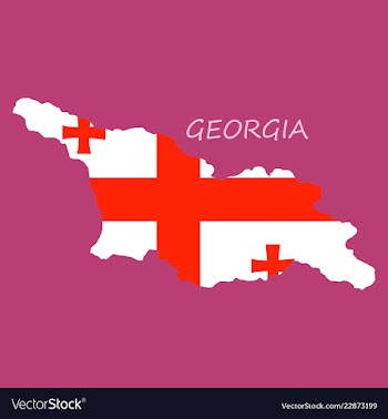 Georgia map with flag vector image