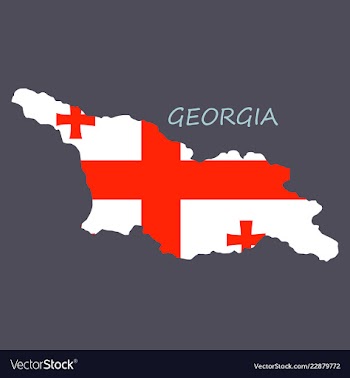 Georgia map with flag vector image