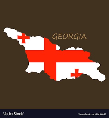 Georgia map with flag vector image