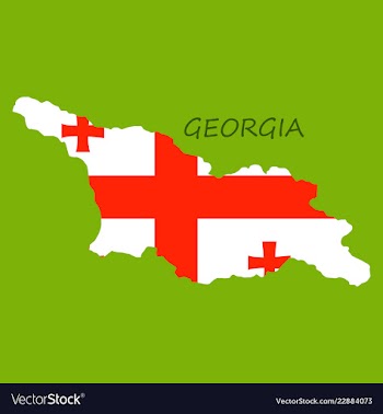 Georgia map with flag vector image