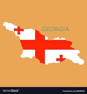 Georgia map with flag vector image
