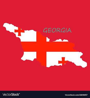 Georgia map with flag vector image
