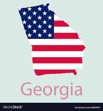 Georgia state of america with map flag print on vector image