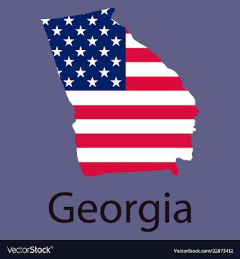 Georgia state of america with map flag print on vector image