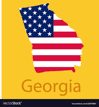 Georgia state of america with map flag print on vector image
