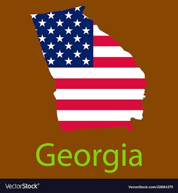 Georgia state of america with map flag print on vector image