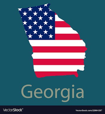 Georgia state of america with map flag print on vector image