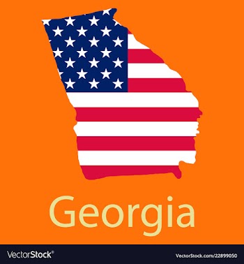 Georgia state of america with map flag print on vector image