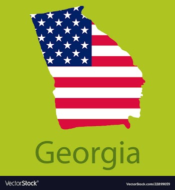 Georgia state of america with map flag print on vector image