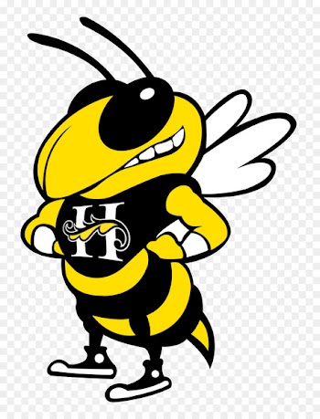 Georgia Tech Yellow Jackets football Bobby Dodd Stadium Georgia Tech Yellow Jackets baseball Buzz Yellowjacket - bumble bee 