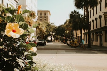 Georgian City Street And Flower