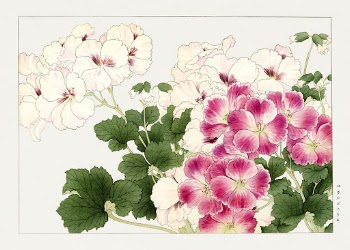 Geranium flower woodblock painting by Tanigami | Free Photo Illustration - rawpixel