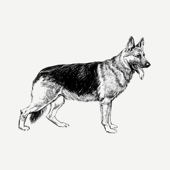German shepherd dog clipart psd, | Free PSD - rawpixel