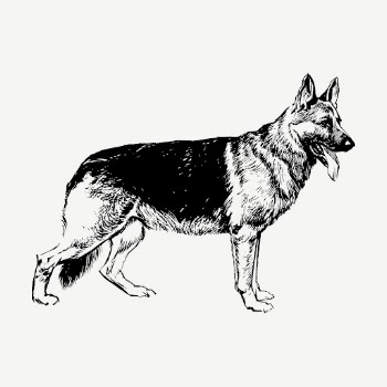 German Shepherd dog collage element, | Free PSD - rawpixel
