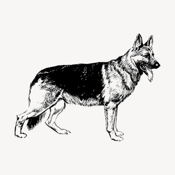 German Shepherd dog drawing clipart, | Free Vector - rawpixel