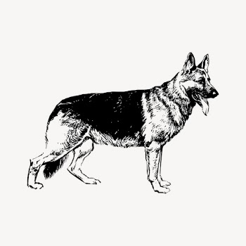 German Shepherd dog drawing, vintage | Free Vector - rawpixel