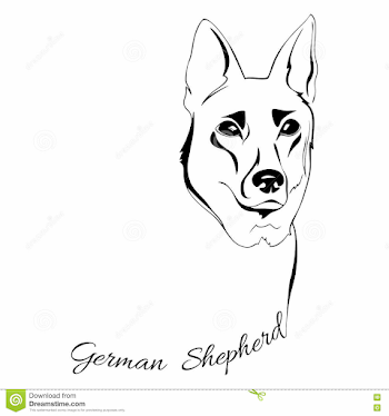 German Shepherd dog head stock vector. Illustration of card - 79249065