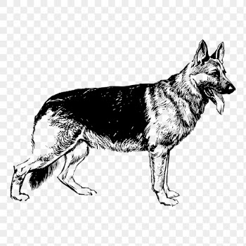 German Shepherd dog png drawing | Free PNG - rawpixel